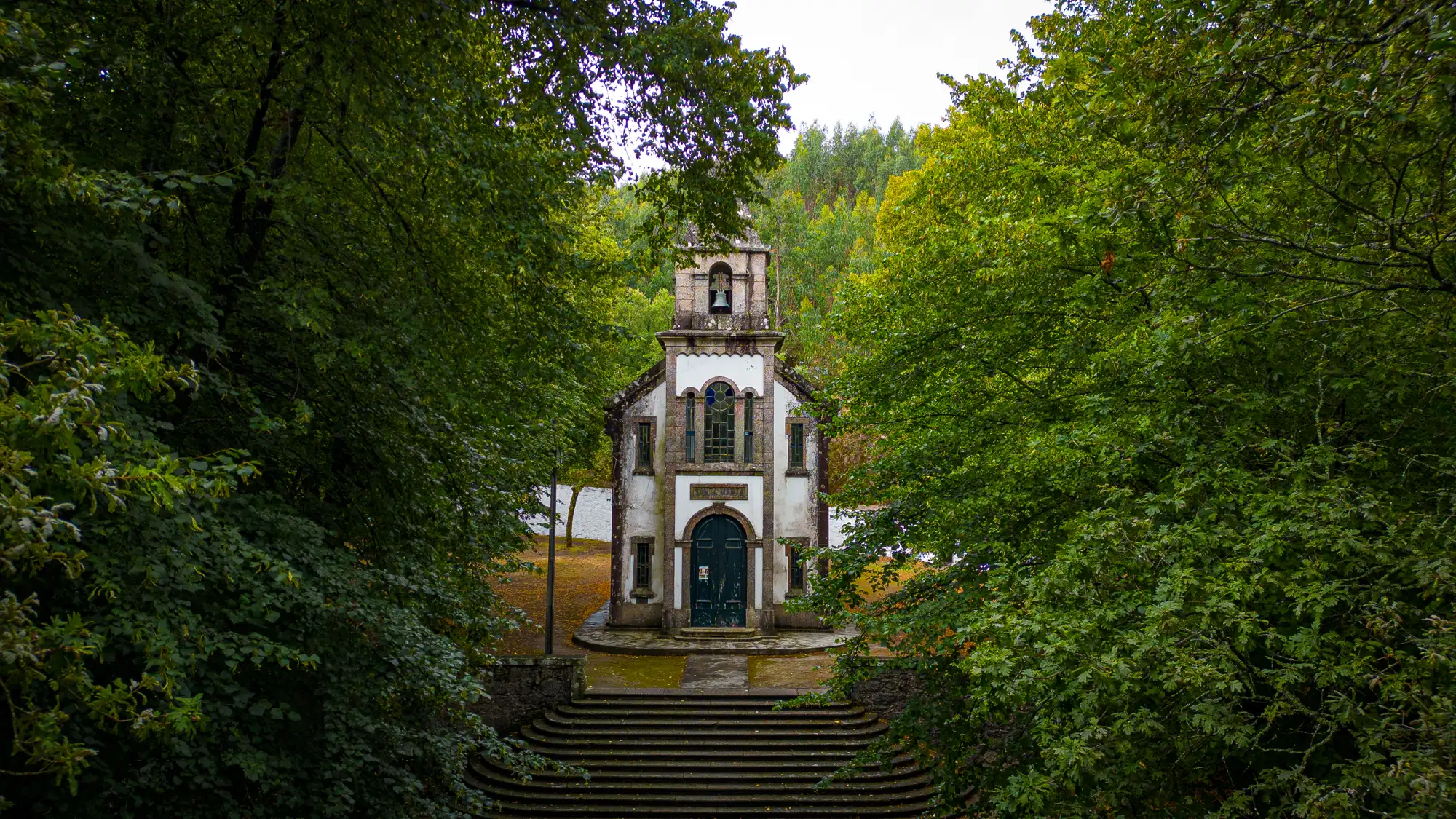 A chapel stands in a lush green forest
